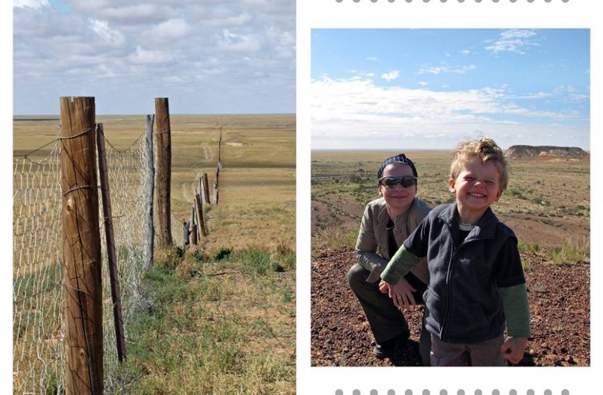 Coober Pedy dog fence