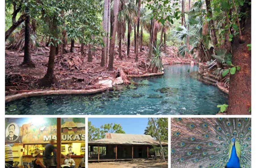 Mataranka Hot Springs