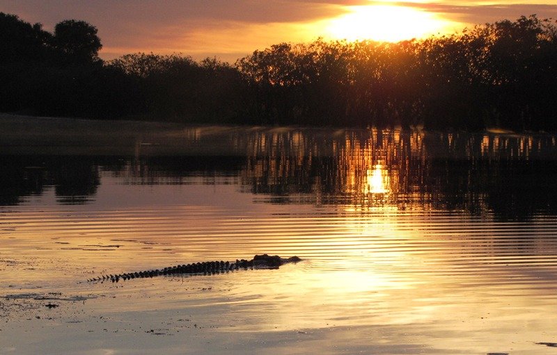 Yellow Waters Morning Cruise