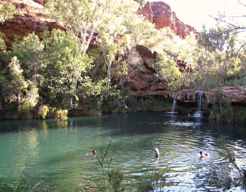 Karijini National Park - Fern Pool