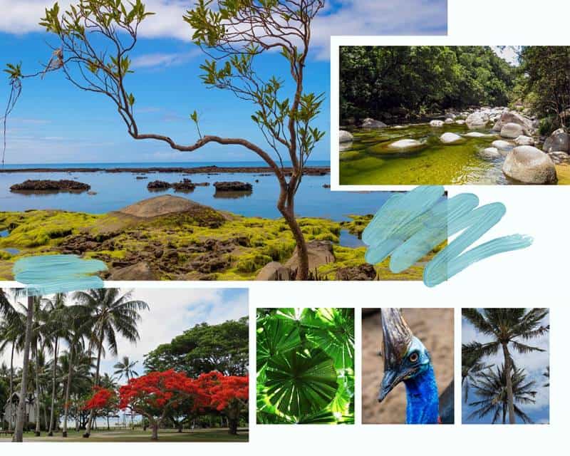 Queensland Travel Guide - Cairns