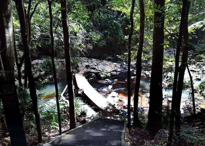 Kuranda Walks - Crossing Jimrum Creek