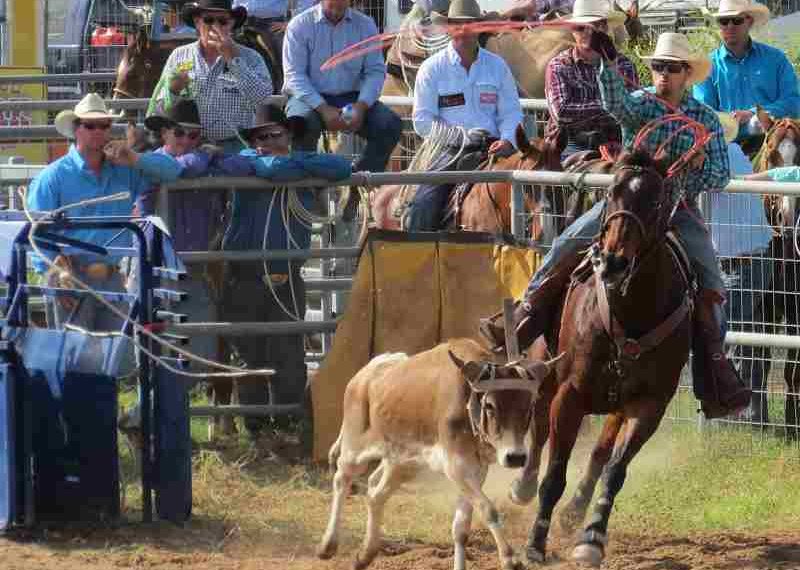 Easter in the Country: Discover the Thrill of Roma Rodeo